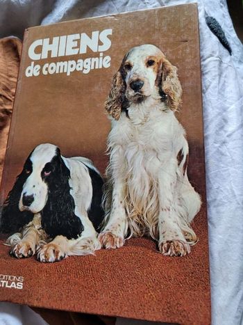 Chiens de compagnie