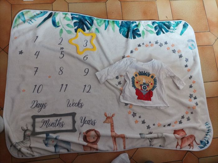 Tee shirt lion photo