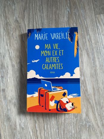 Roman Ma vie, mon ex et autres calamités