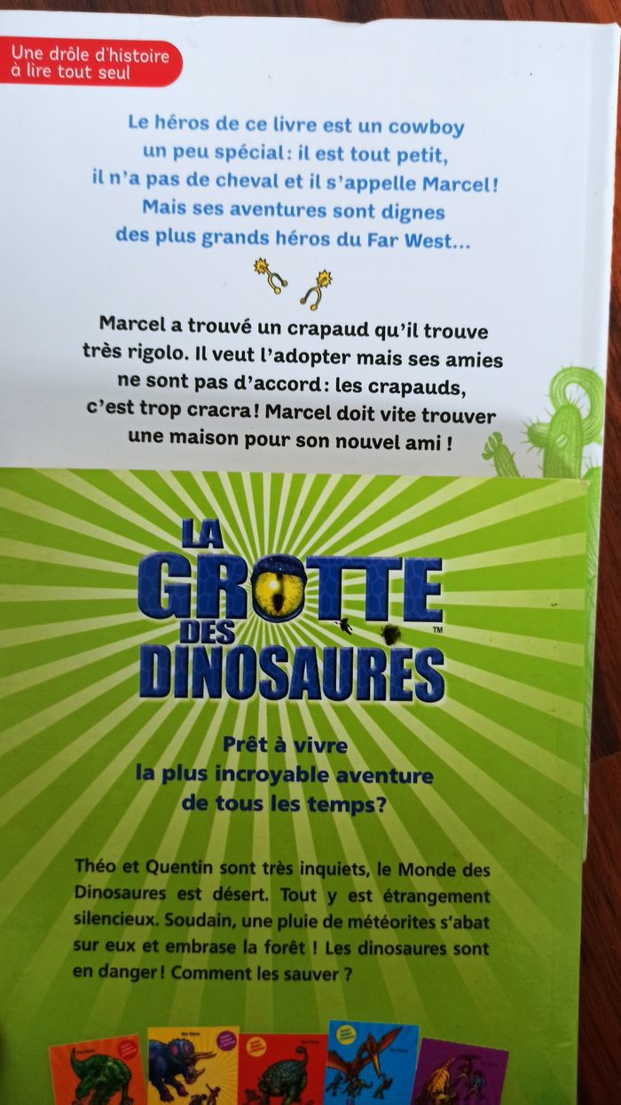 Lot de 9 livres enfants 6 à 10 ans environ - photo numéro 4
