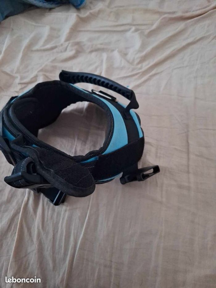 Vend harnais Taille L pour chien moyenne taille je suppose - photo numéro 3