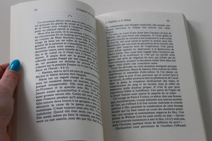 L'anglaise et le hibou - photo numéro 4