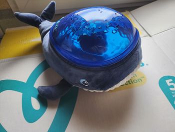 Veilleuse projecteur