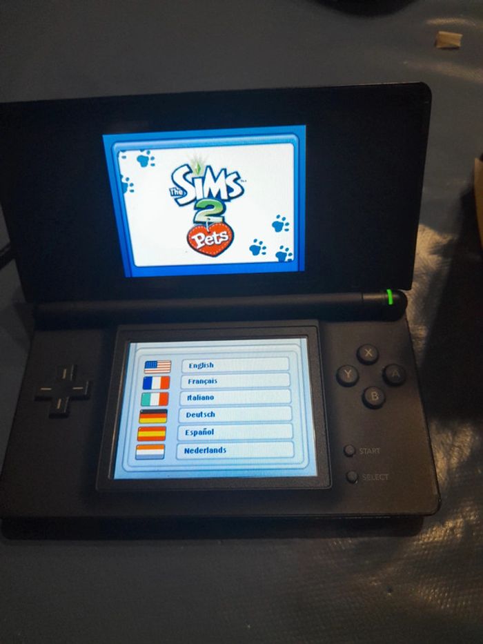 Les Sims 2 animaux &Cie Nintendo DS - photo numéro 10