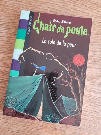 Livre chair de poule