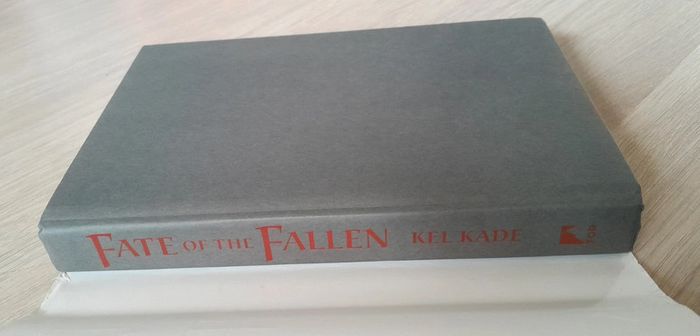 Kel kade fate of the fallen - photo numéro 4