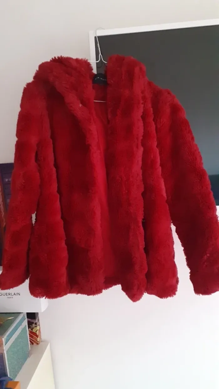 Manteau en fourrure rouge - photo numéro 2