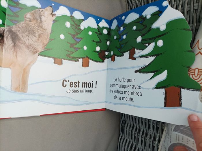 Livre " devine qui est..bruyant" neuf - photo numéro 4