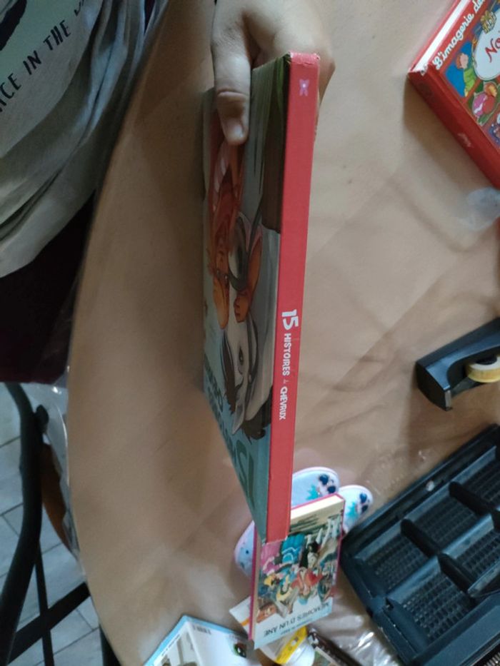 Gros livre 15 histoires de chevaux - photo numéro 5