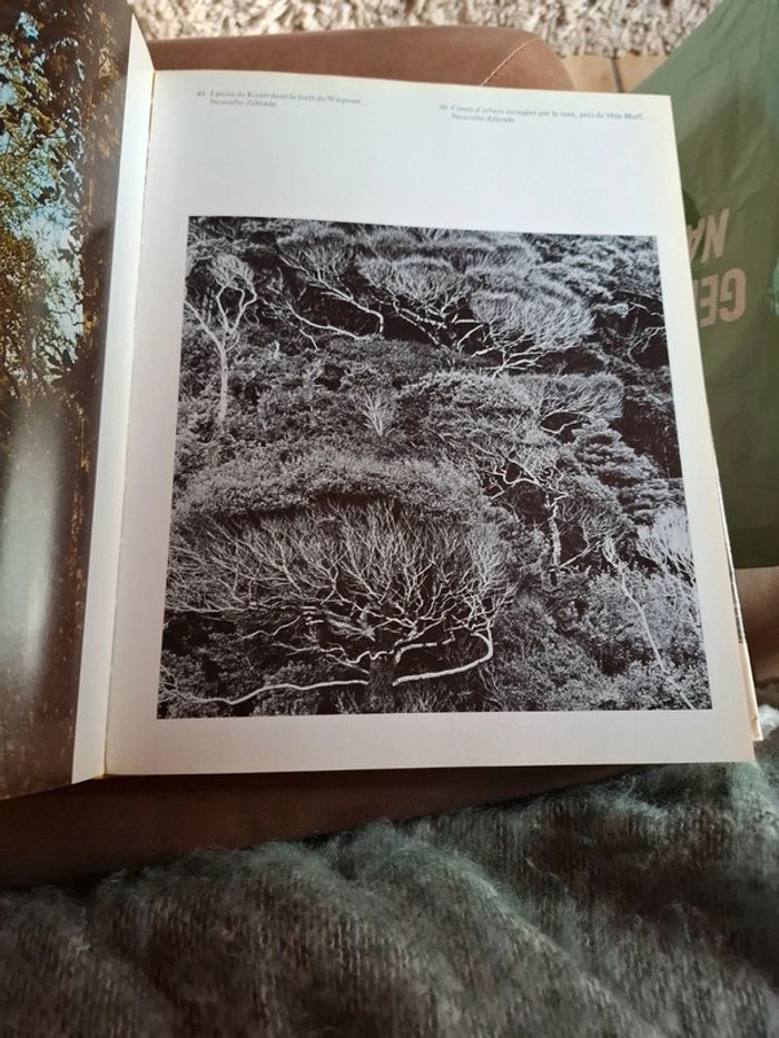 Le grand livre de la forêt. - photo numéro 12