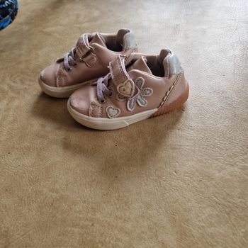 20 basket a scratch rose