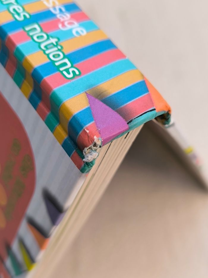 Mon grand livre d'apprentissage Piccolia - photo numéro 10