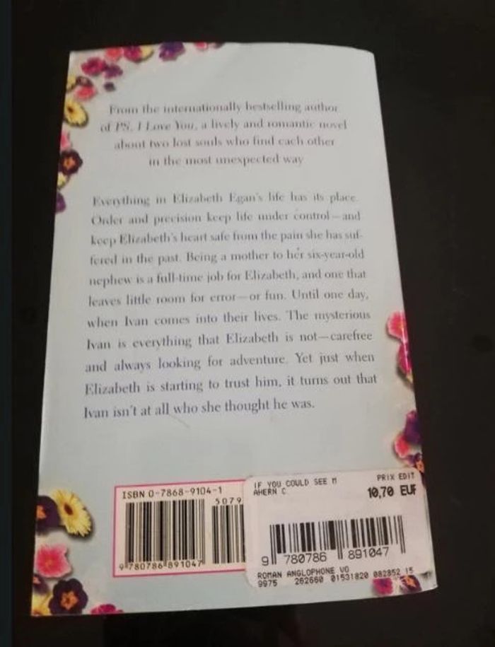 Roman en anglais "if you could see me now" - photo numéro 2
