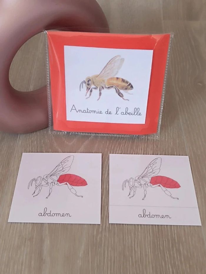 Cartes de nomenclature de l'abeille - photo numéro 2
