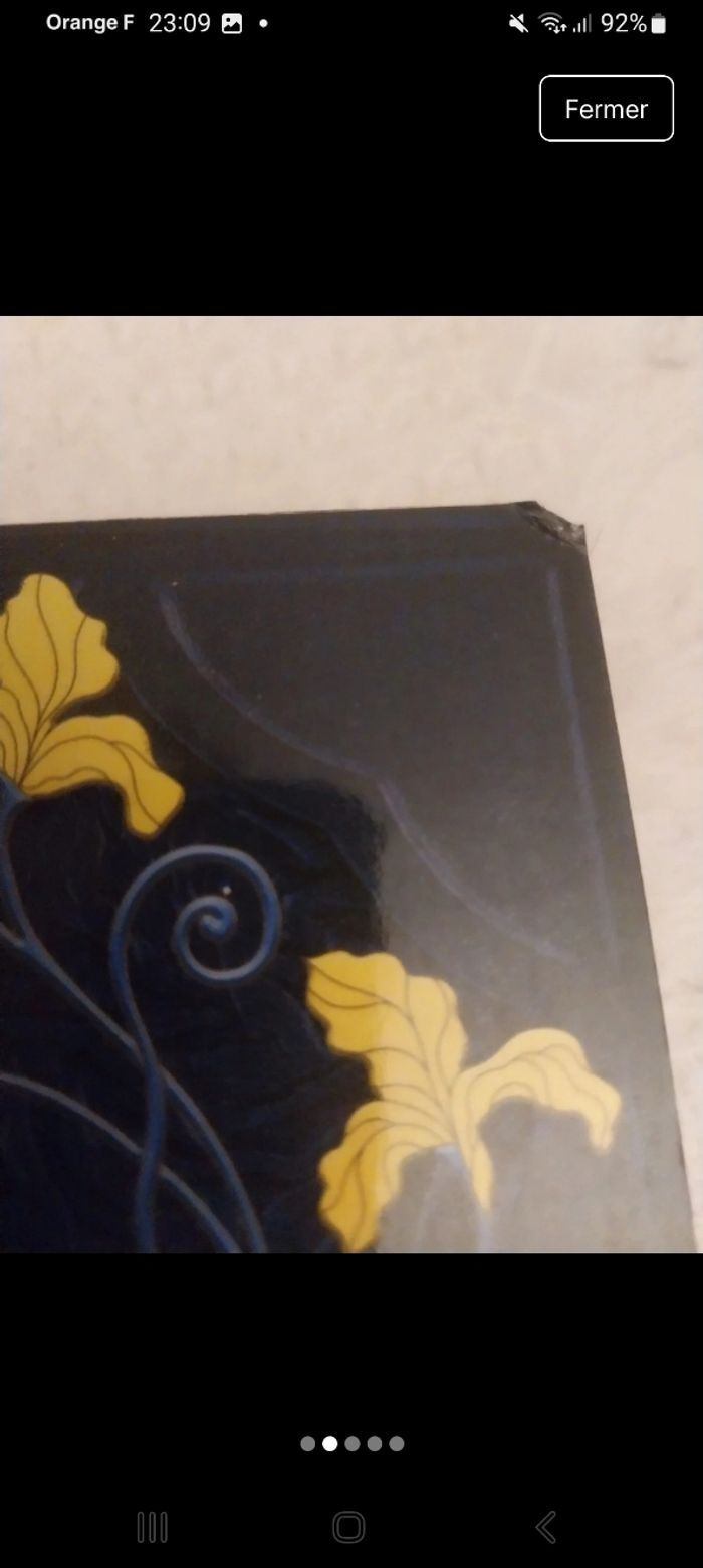 Roman Never Jessa Hastings Milady Réécriture Peter Pan - photo numéro 2