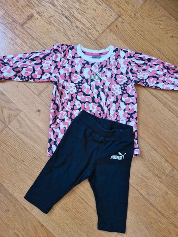 Ensemble puma