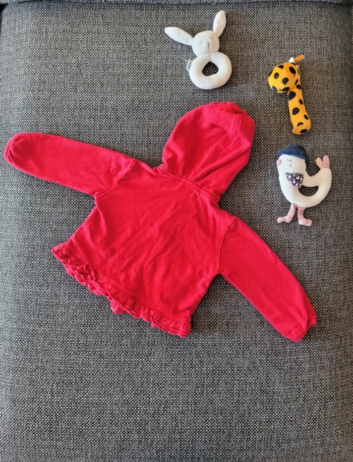 Veste à capuche zippée fille 12 mois - photo numéro 6