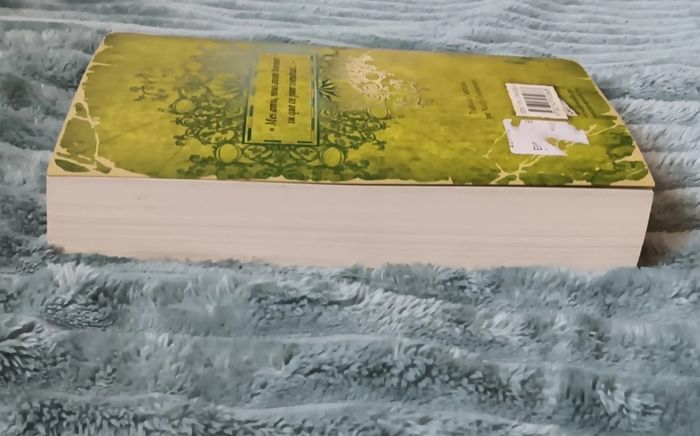 Livre l'atlas d'émeraude - photo numéro 5