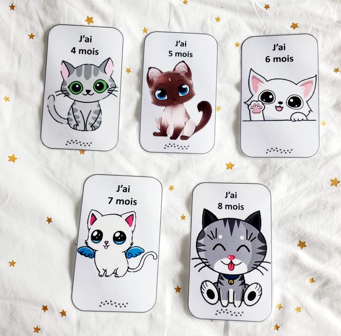 Cartes étape - Chat Kawaï - photo numéro 3