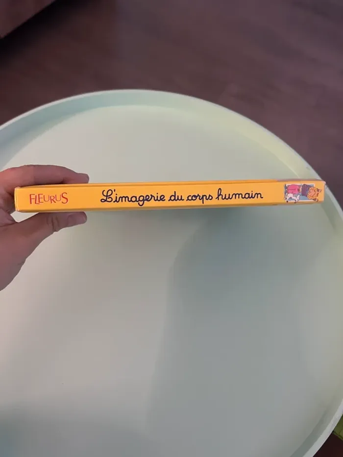 L'imagerie du corps humain - photo numéro 3