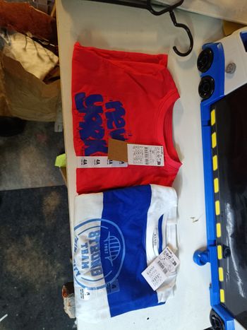 Lot de 2 t shirt manche longue neuf 