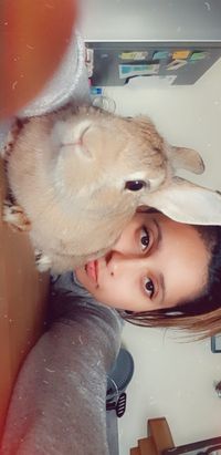 profil