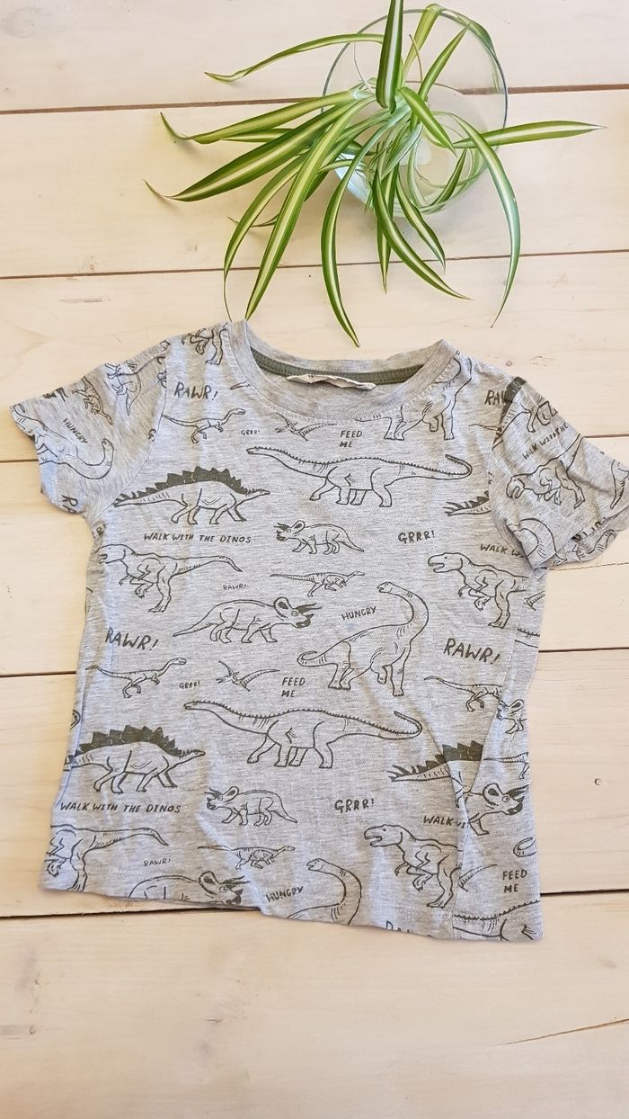 Tee shirt dinosaure 2-4ans
