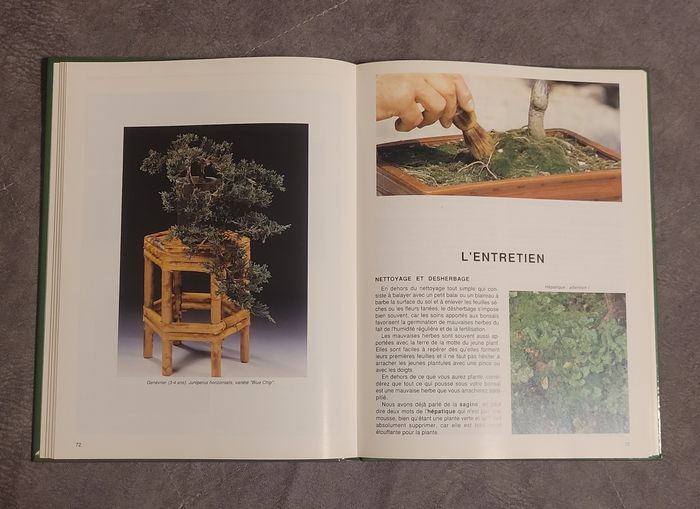 Réussir son bonsaï - Conseils pratiques Jean-Daniel Nessmann - photo numéro 3