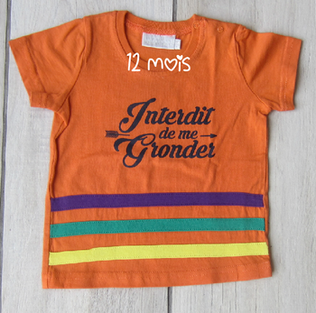 Tee shirt "Interdit de me gronder"