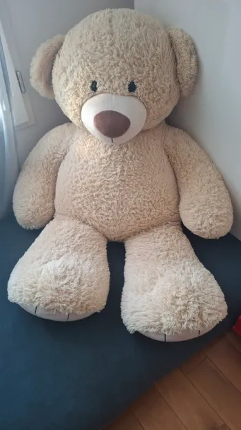 Ours géant