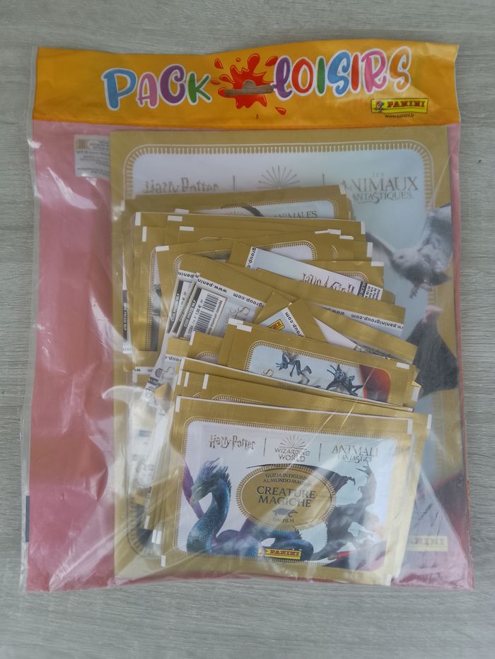 Pack loisirs Harry Potter panini