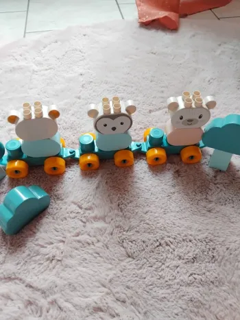 Petit train