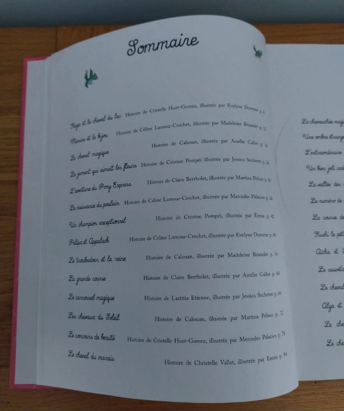 Mon recueil d'histoires de cheveaux - Auzou - photo numéro 3