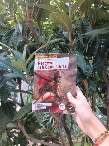 Livre Perceval ou le Conte de Graal.