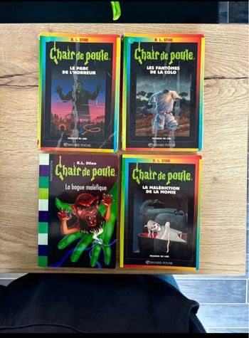Lot de 4 Livres de la Collection Chair de Poule Enfants-Ados/Possibilité de prendre à l’unité