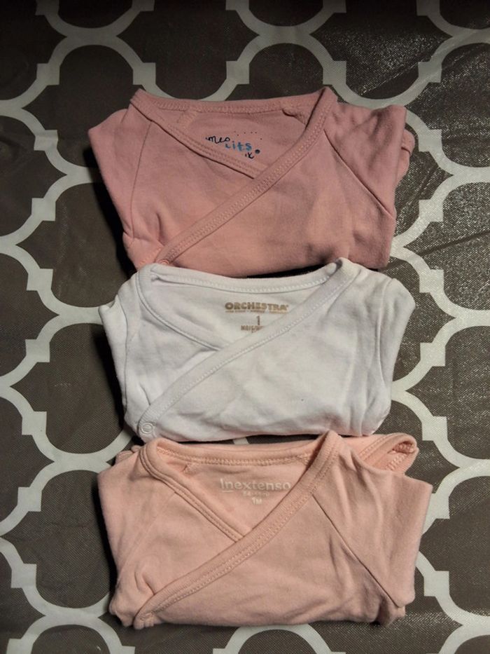 Bodies