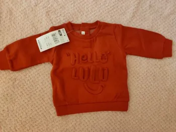 Pull Lulu castagnette 3 mois