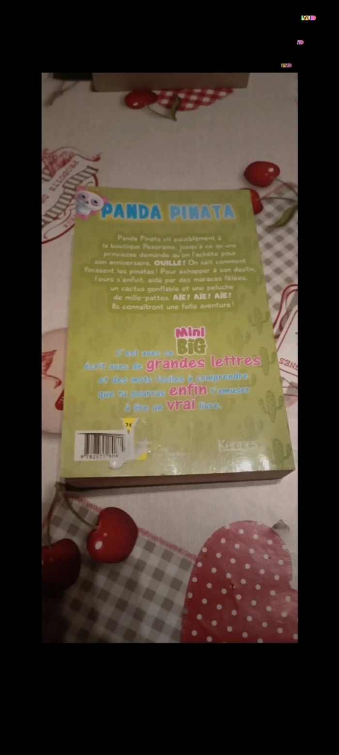 Livre panda pinata - photo numéro 2