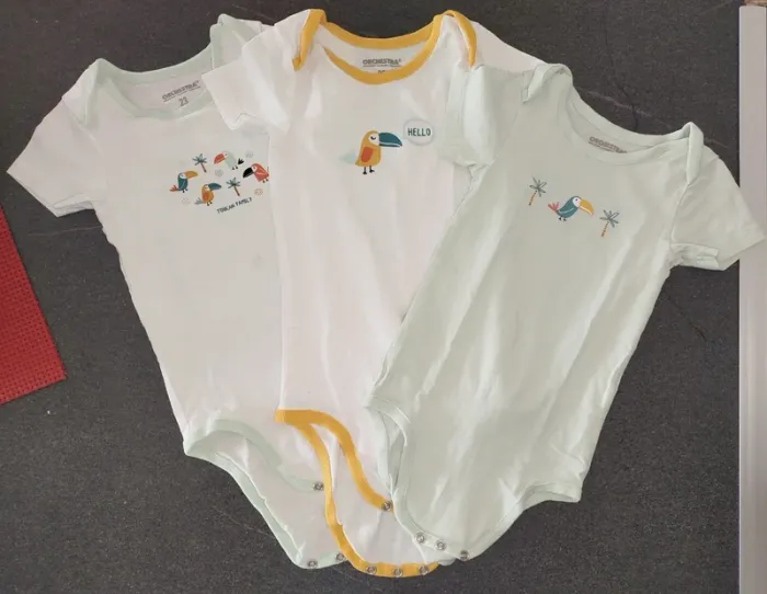 Lot de 3 bodys 24 mois