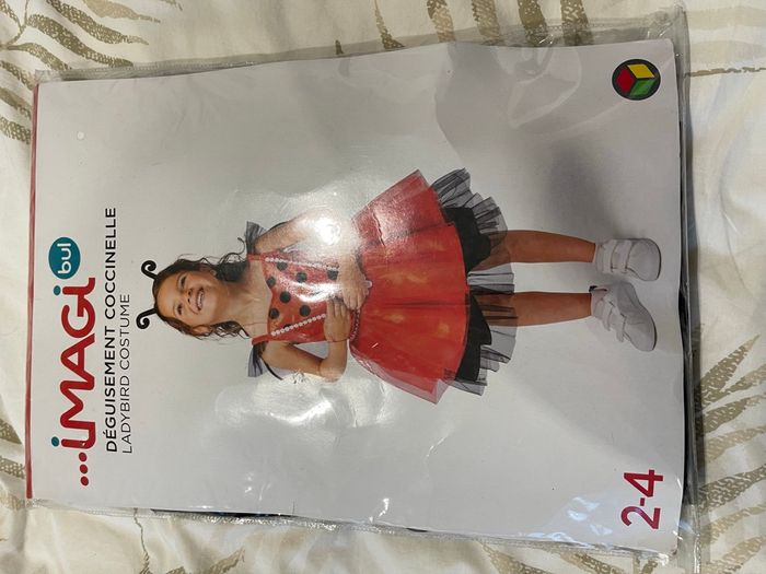 Déguisement coccinelle - photo numéro 2