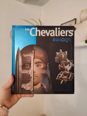 Livre les chevaliers à la loupe