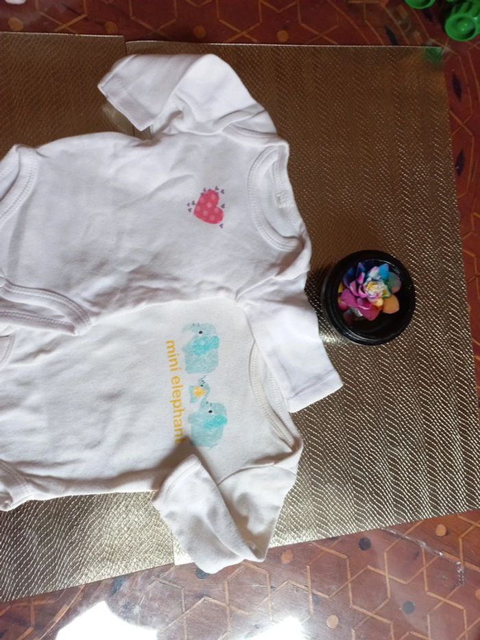 LOT 2 Bodys longs coton bio 0 a 3 mois - photo numéro 2