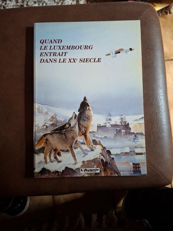 Quand le luxembourg entrait dans le xx e siècle