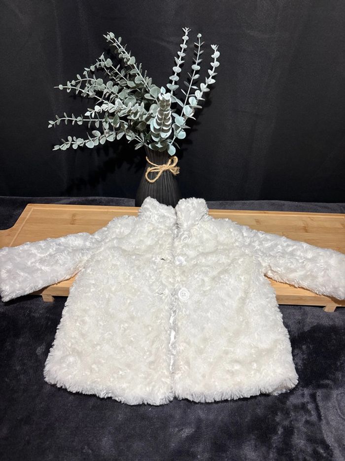 Veste extérieur bébé fille taille 12 mois - photo numéro 2