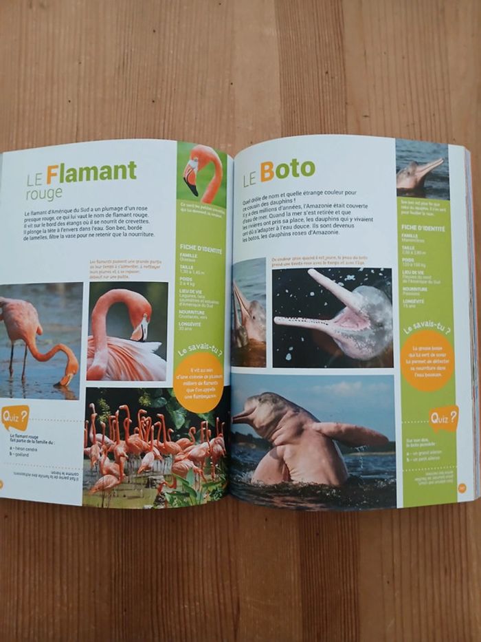 Mon encyclopédie Animaux - photo numéro 4