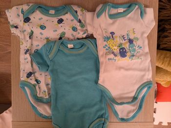 Lot 3 bodies