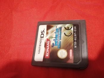 Jeu tao's adventure ds