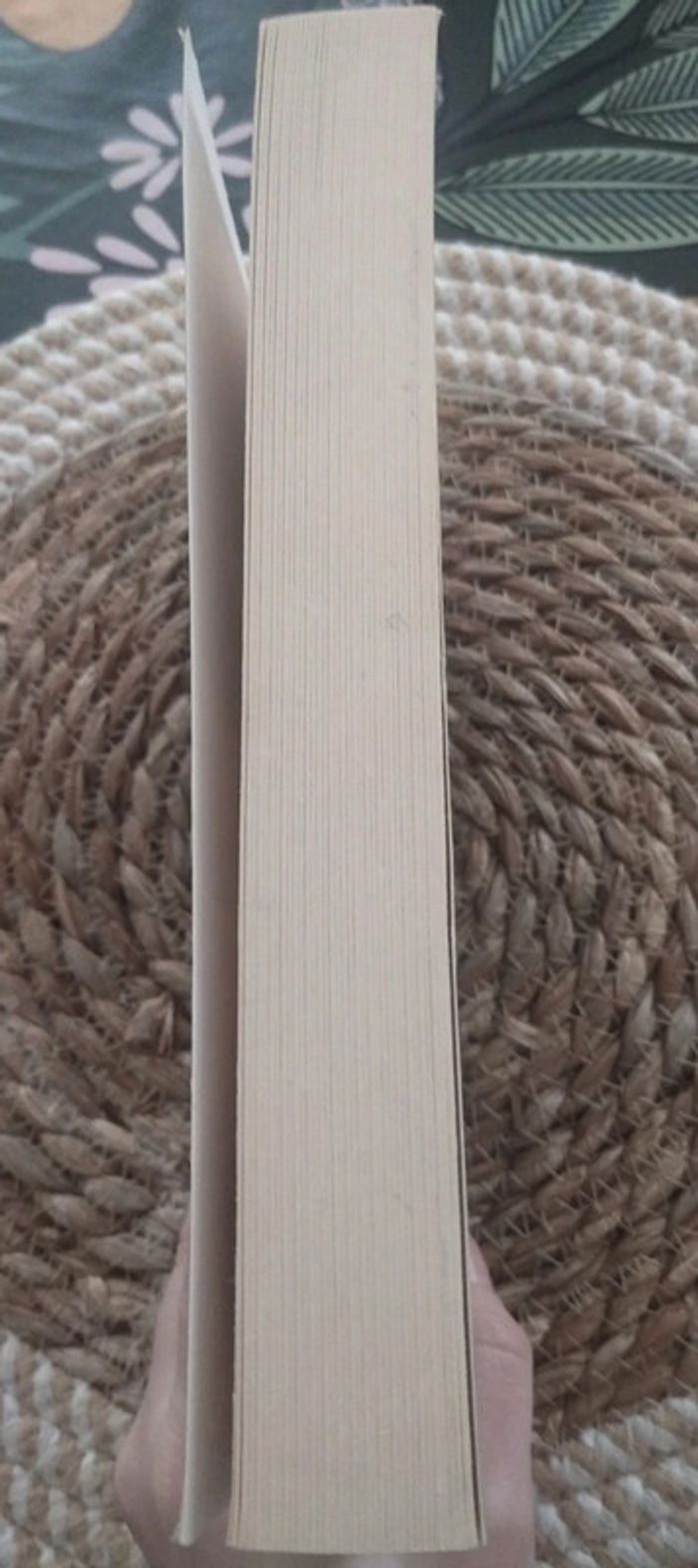 Livre Double piège Harlan Coben - photo numéro 3