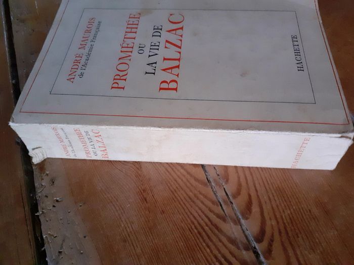 Prométhée ou la vie de Balzac - photo numéro 5