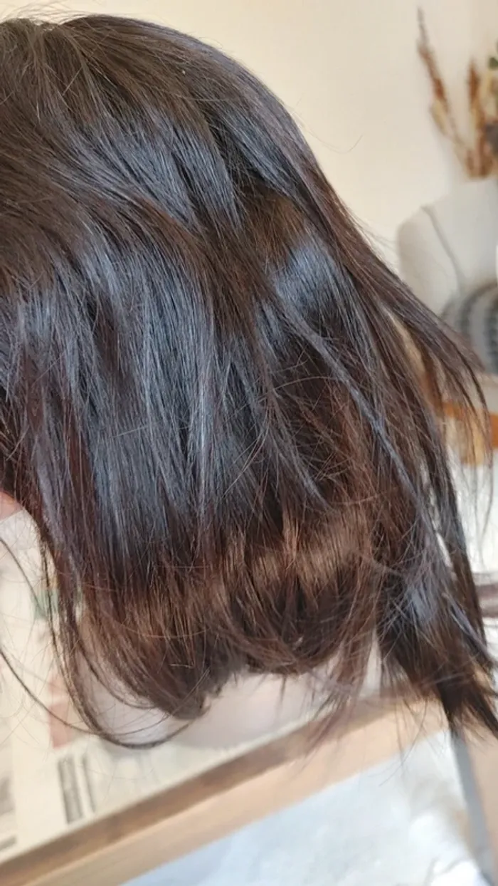 Perruque lace wig Bob en cheveux humains 100 pour 100 naturel 2B - photo numéro 11